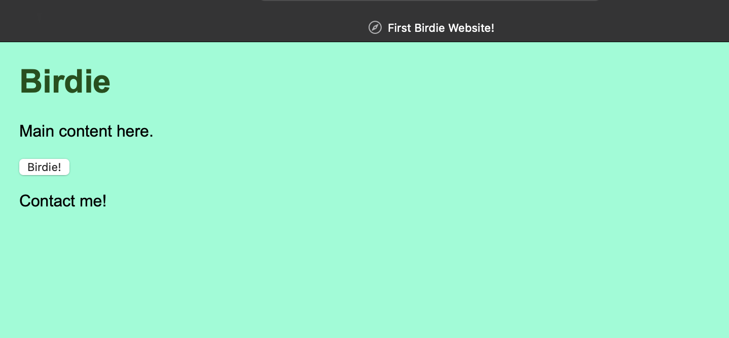 First website. I was so proud. First Website